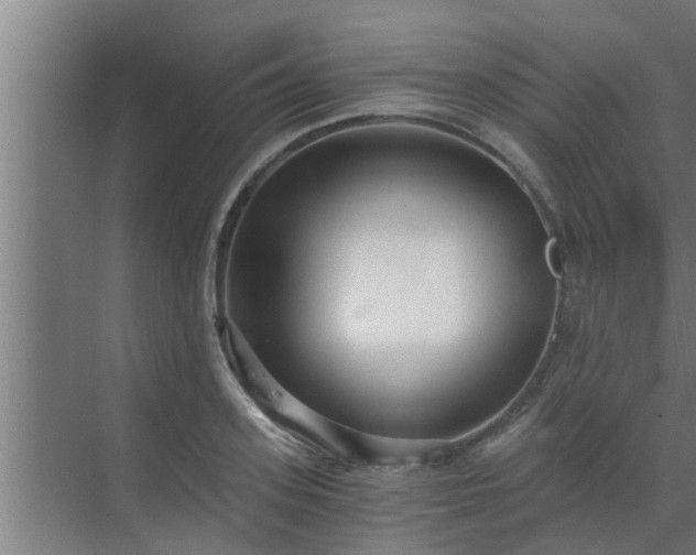 X0000069800939200605261719