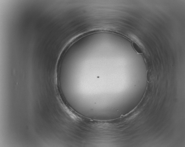 X0000069800940200605261719