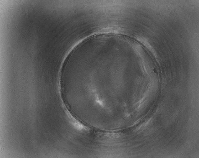 X0000069800941200605261719