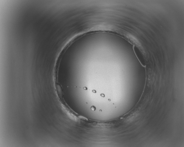 X0000069800942200605261719