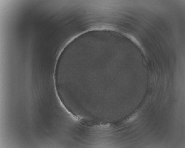 X0000069800943200605261719