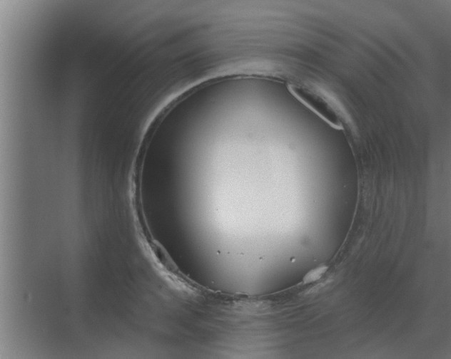 X0000069800944200605261719