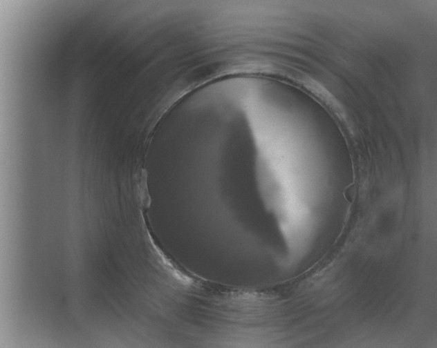 X0000069800945200605261719