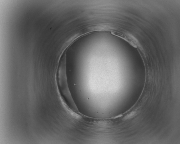 X0000069800946200605261719