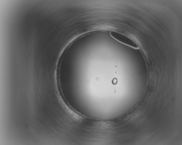 X0000069800947200605261719