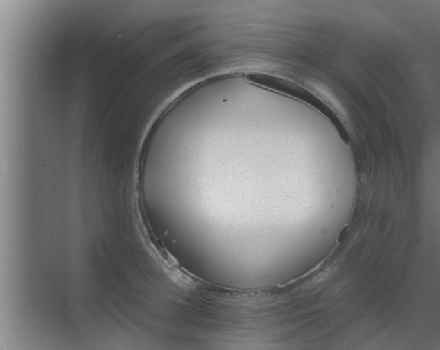 X0000069800948200605261719