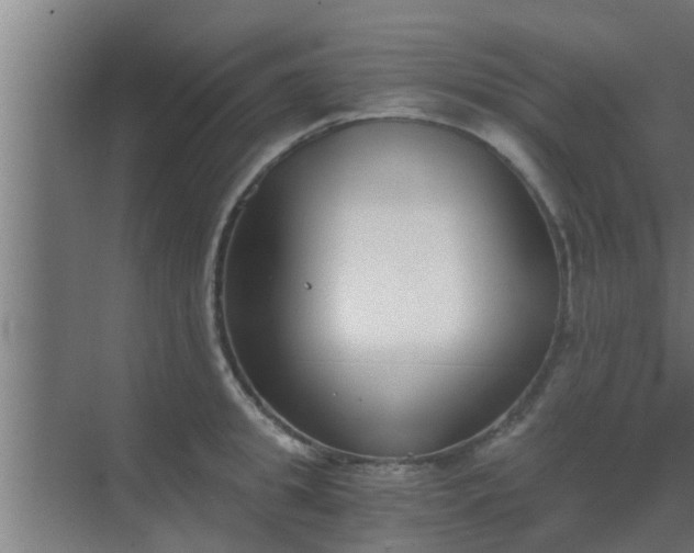 X0000069800949200605261719