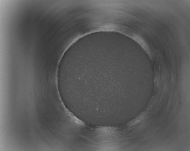 X0000069800950200605261719