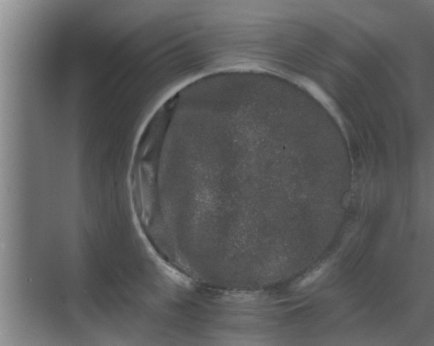 X0000069800951200605261719