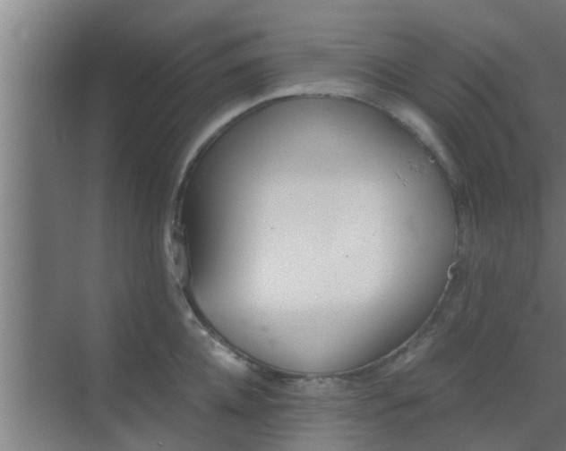 X0000069800952200605261719