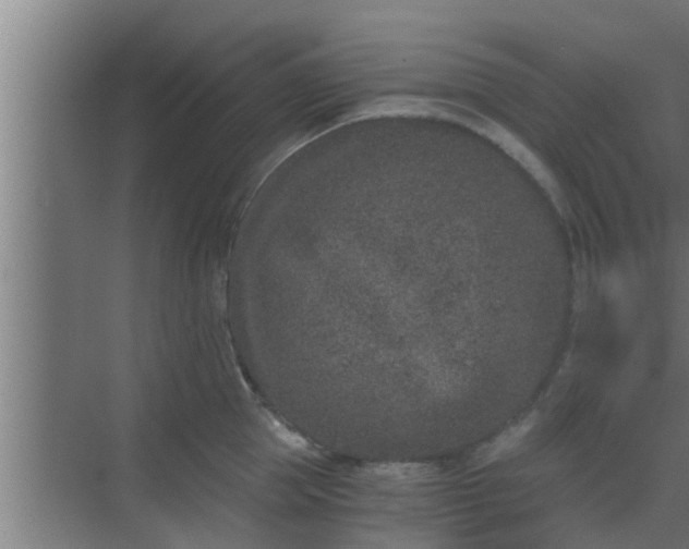 X0000069800953200605261719