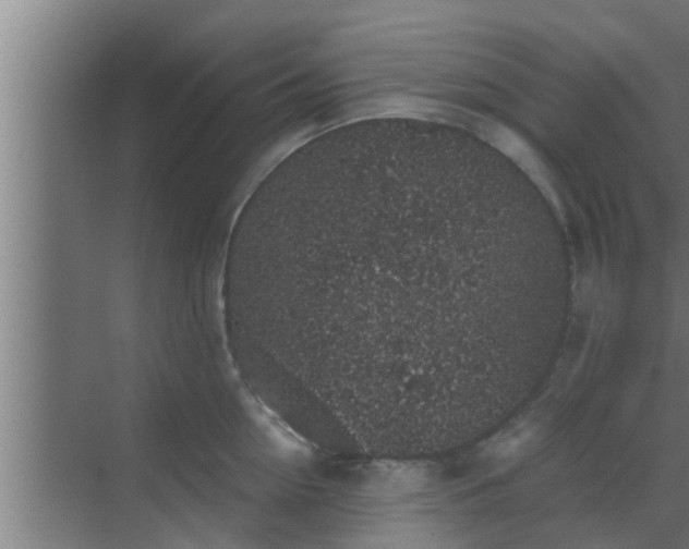 X0000069800954200605261719