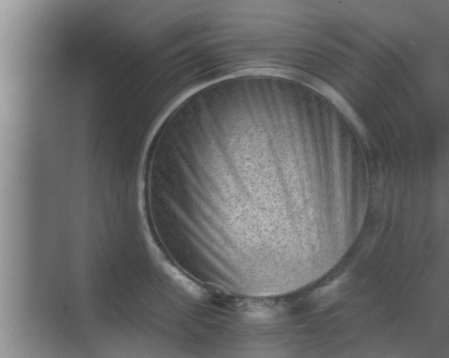 X0000069800955200605261719