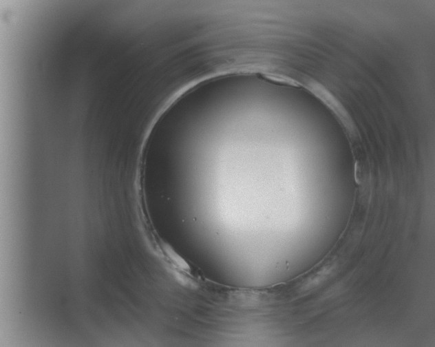 X0000069800956200605261719