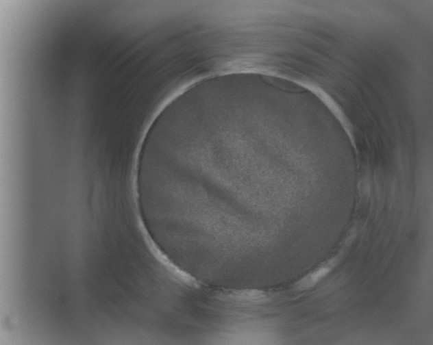 X0000069800957200605261719