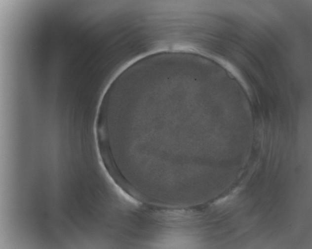 X0000069800959200605261719