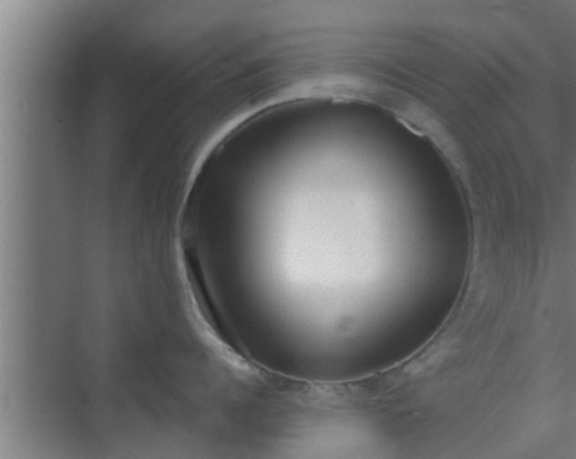 X0000069800960200605261719