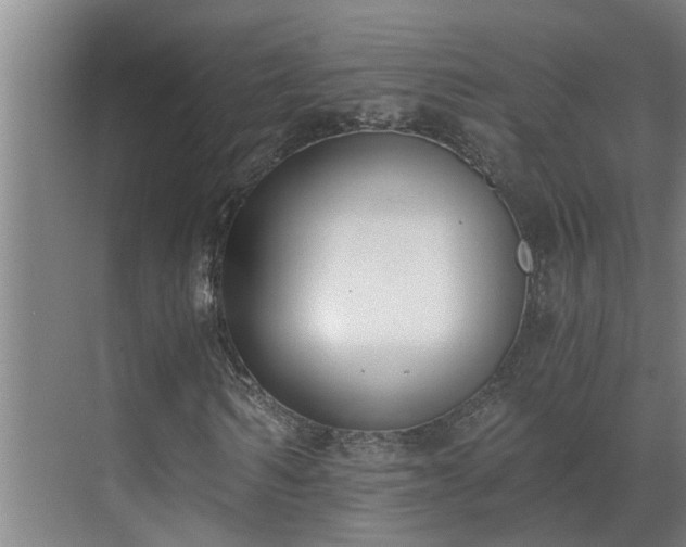 X0000069800962200605261718