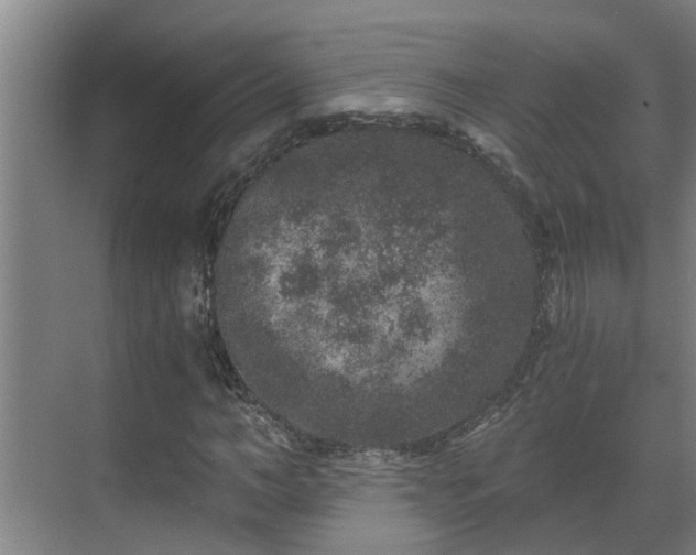 X0000069800966200605261718