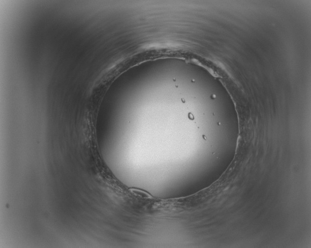 X0000069800967200605261718