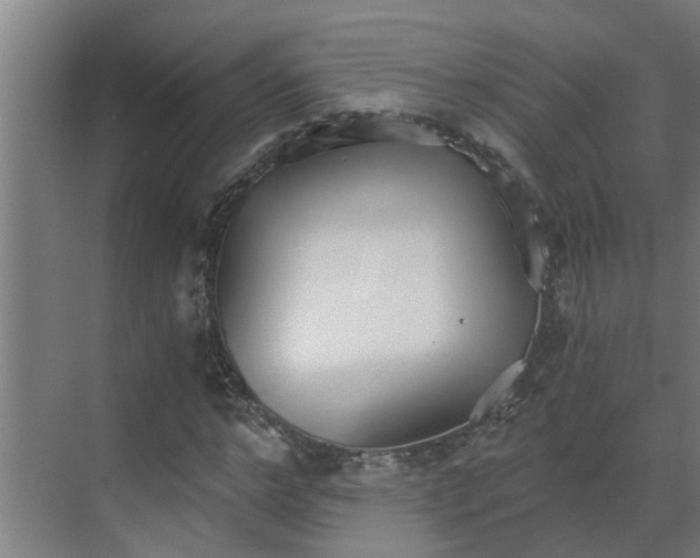 X0000069800968200605261718