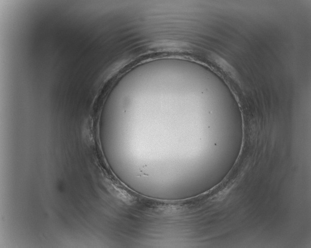 X0000069800970200605261718