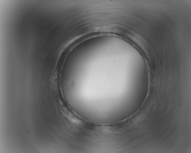 X0000069800971200605261718