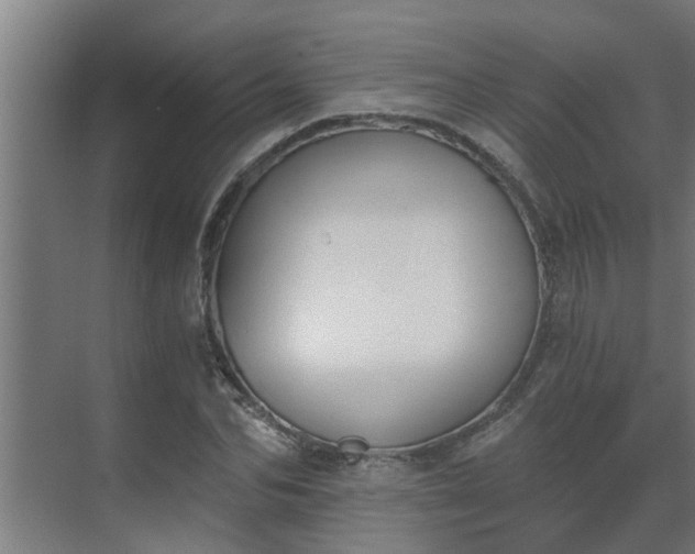 X0000069800974200605261718