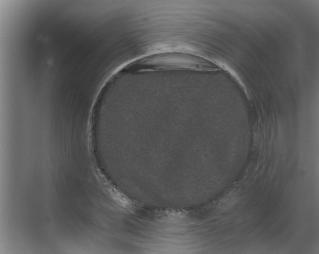 X0000069800975200605261718