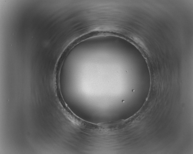 X0000069800976200605261718