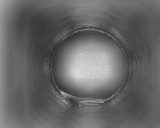 X0000069800977200605261718