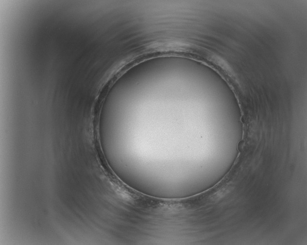 X0000069800978200605261718