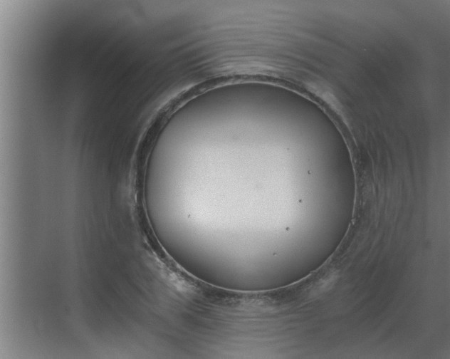 X0000069800979200605261718