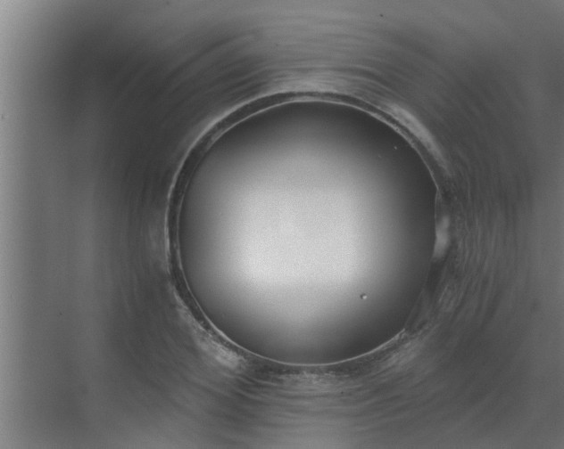 X0000069800980200605261718