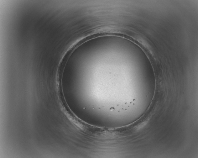 X0000069800981200605261718