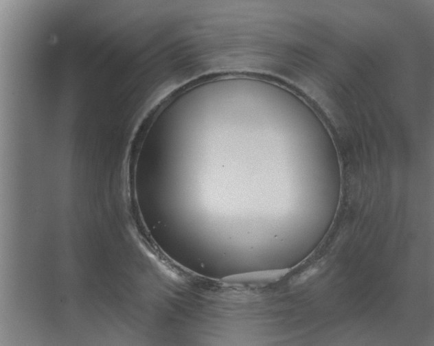 X0000069800982200605261718