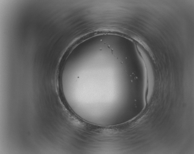 X0000069800984200605261718