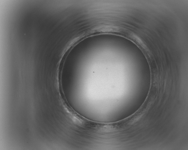 X0000069800986200605261718