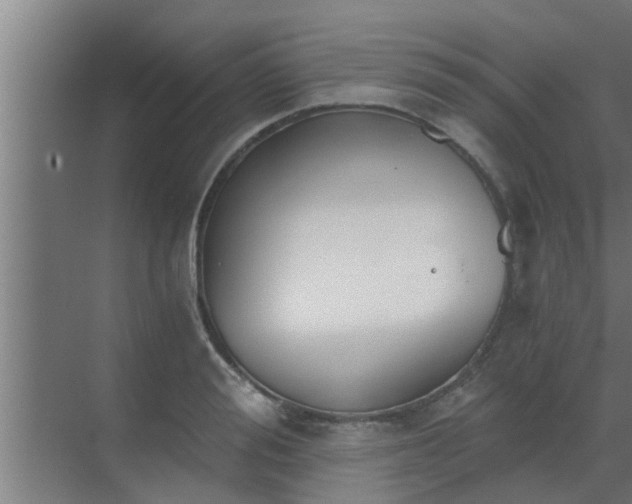 X0000069800988200605261718