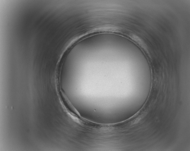 X0000069800989200605261718