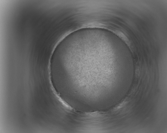 X0000069800990200605261718