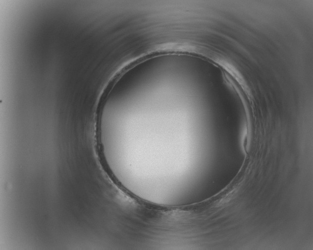 X0000069800992200605261718