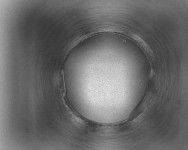 X0000069800993200605261718