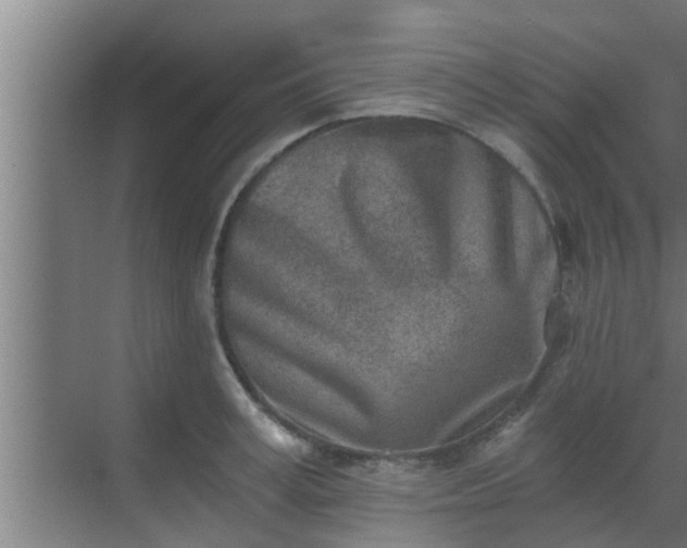 X0000069800995200605261718