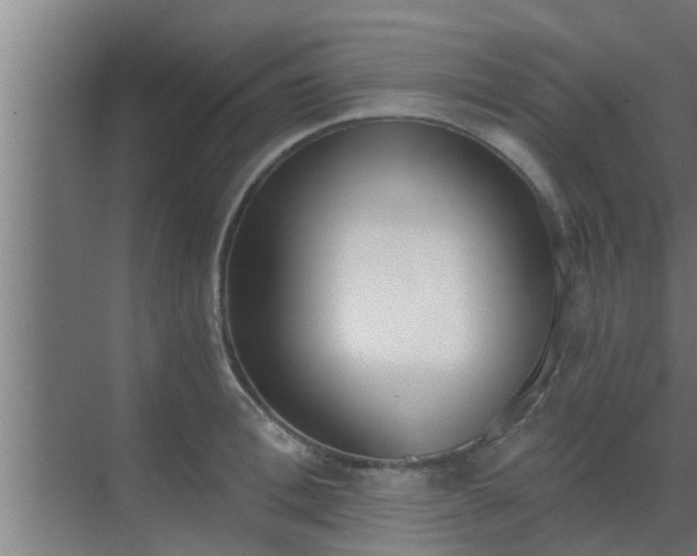 X0000069800996200605261718