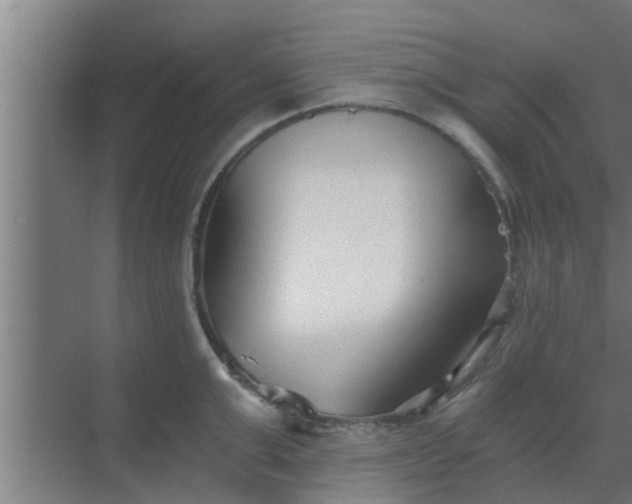 X0000069800999200605261718