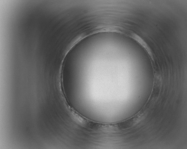 X0000069801002200605261718