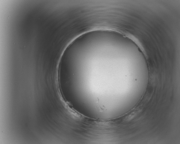 X0000069801004200605261718