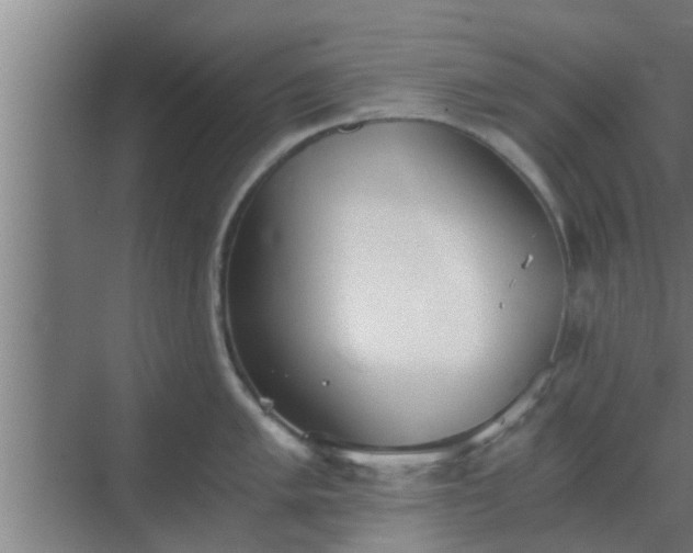 X0000069801005200605261718