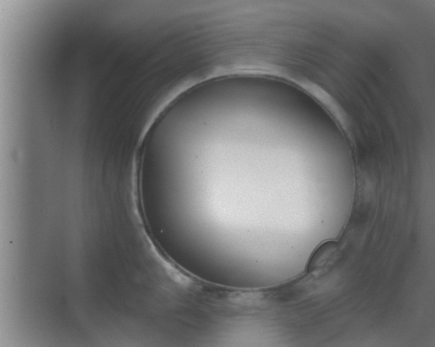 X0000069801006200605261718